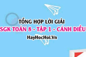 Giải Bài tập Toán 8 tập 1 SGK Cánh Diều